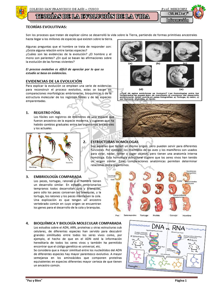Origen y Evolución de La Vida | PDF | Evolución | Gene