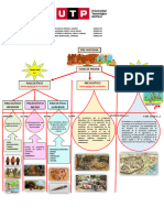 Esquema Derecho Primitivo