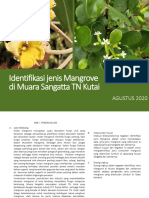 Laporan Identifikasi Jenis Mangrove Di Muara Sangatta Agustus 2020