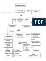 Mapa Conceptual