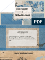 Introduccion Al Metabolismo