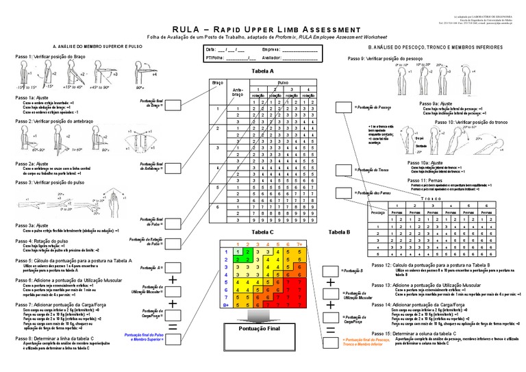 2.10 10 RULA Form Portugues | PDF | Natureza | Science