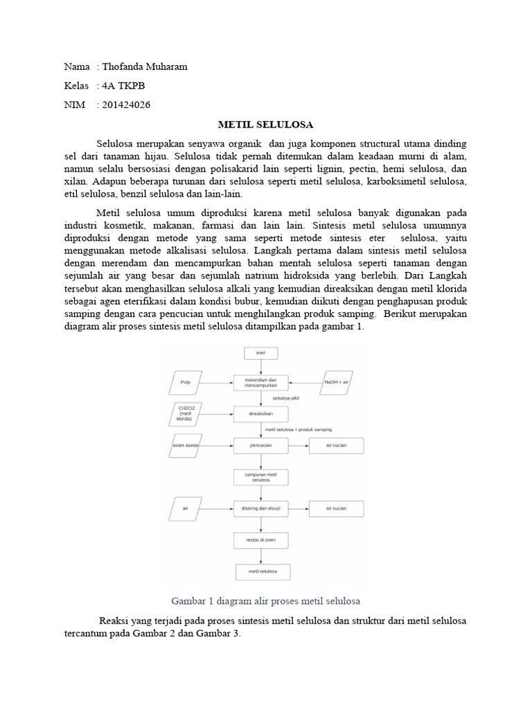 Sintesis dan Struktur Metil Selulosa | PDF