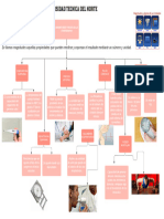 Mapa Conceptual