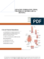 Biomineralizacion, Formacion, Tipos, Estructura Fisica