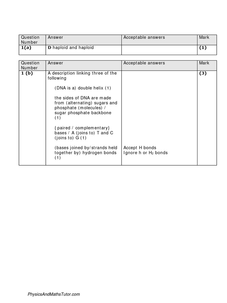DNA Structure and Function Exam Guide | PDF