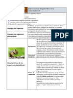 Ficha 1 Organismos Pluricelulares