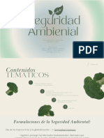 Presentación PSyD - Seguridad Ambiental