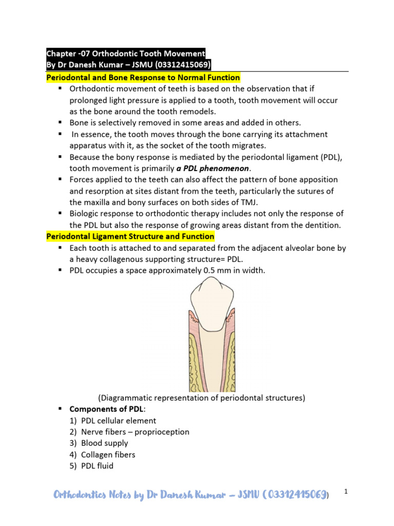 Orthodontic Tooth Movement Insights | PDF