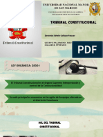 Tribunal Constitucional