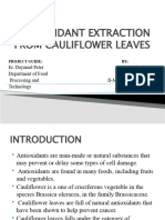 Antioxidant Extraction From Cauliflower Leaves