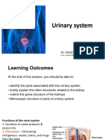 1 - Urinary System