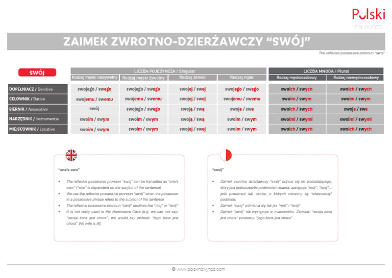 Co To Zaimek