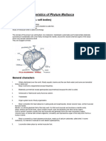 General Characteristics of Phylum Mollusca