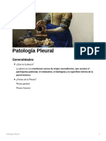 Patologa Pleural