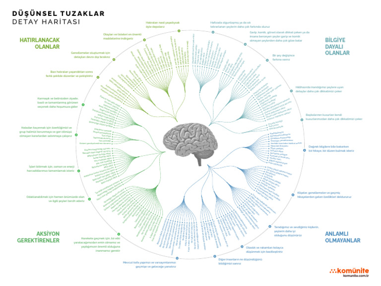 Cognitive Bias Index - TR | PDF