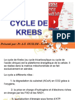 05 - Cycle de Krebs