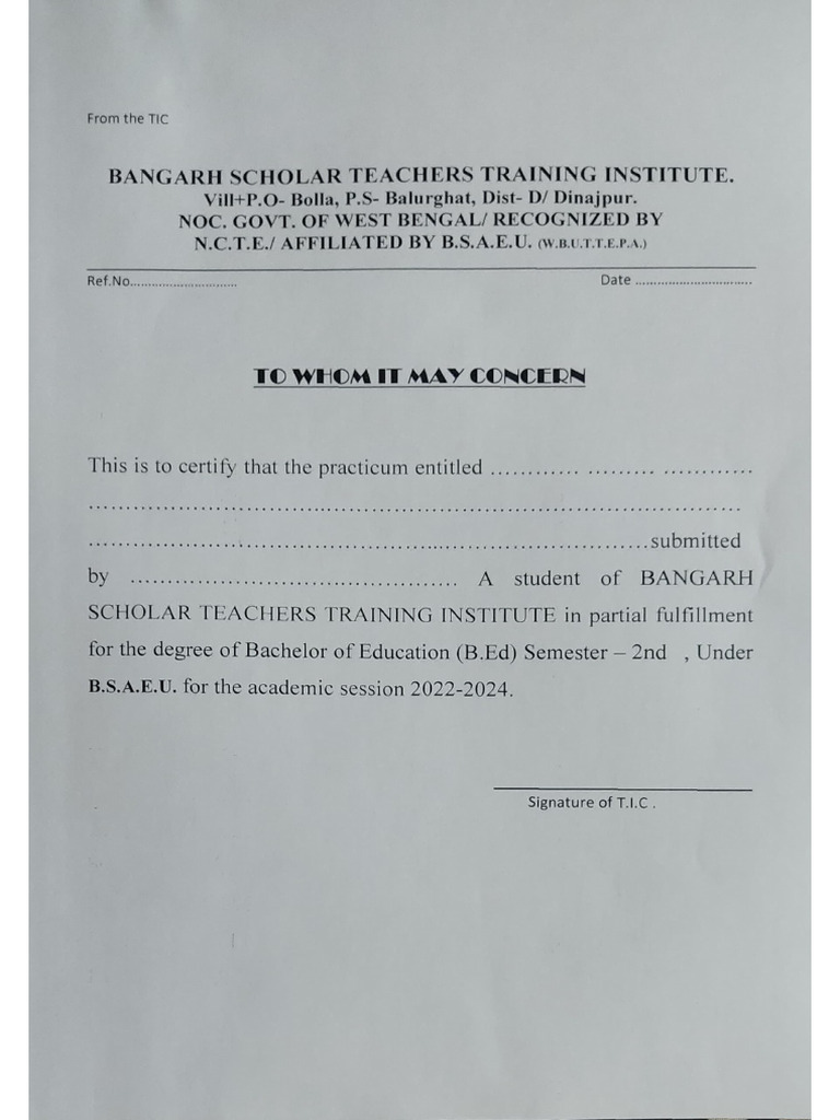 TIC & Assistant Lecturer | PDF