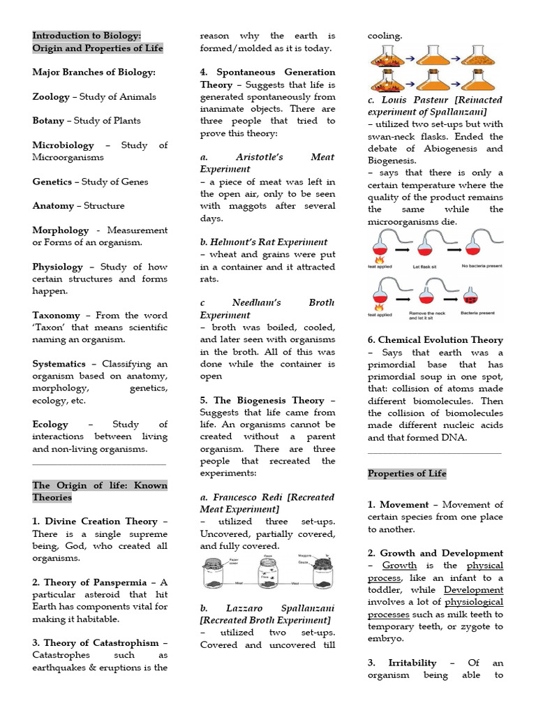 GenBio 1st Sem (New) | PDF | Cell (Biology) | Endoplasmic Reticulum