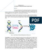 PS8 - From DNA To Protein
