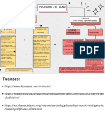 Esquema Gráfico de CyT