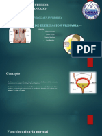 Ispa: Instituto Superior Profecional Avanzado: Necesidades de Eliminacion Urinaria