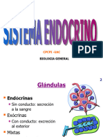 Sistema Endocrino I