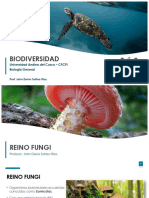 Reino Fungi PDF