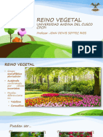 Reino Vegetal PDF