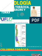 Guía Osteología Columna Tóracolumbar, Sacro y Tórax