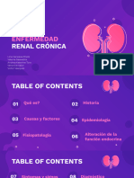 Insuficiencia Renal Cronica