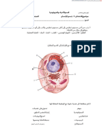 EXAMEN TEMA 1ARABEpdf