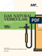 Gas Natural Vehicular - Revision Internacional Mercado Nacional y Oportunidades