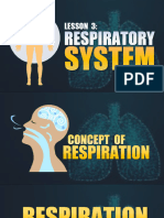 Respiratory System