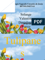 Tulipan Es