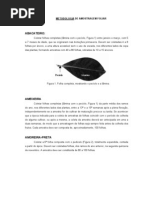 em Foliar de Fruteiras1