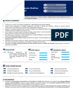 My CV Professional PDF