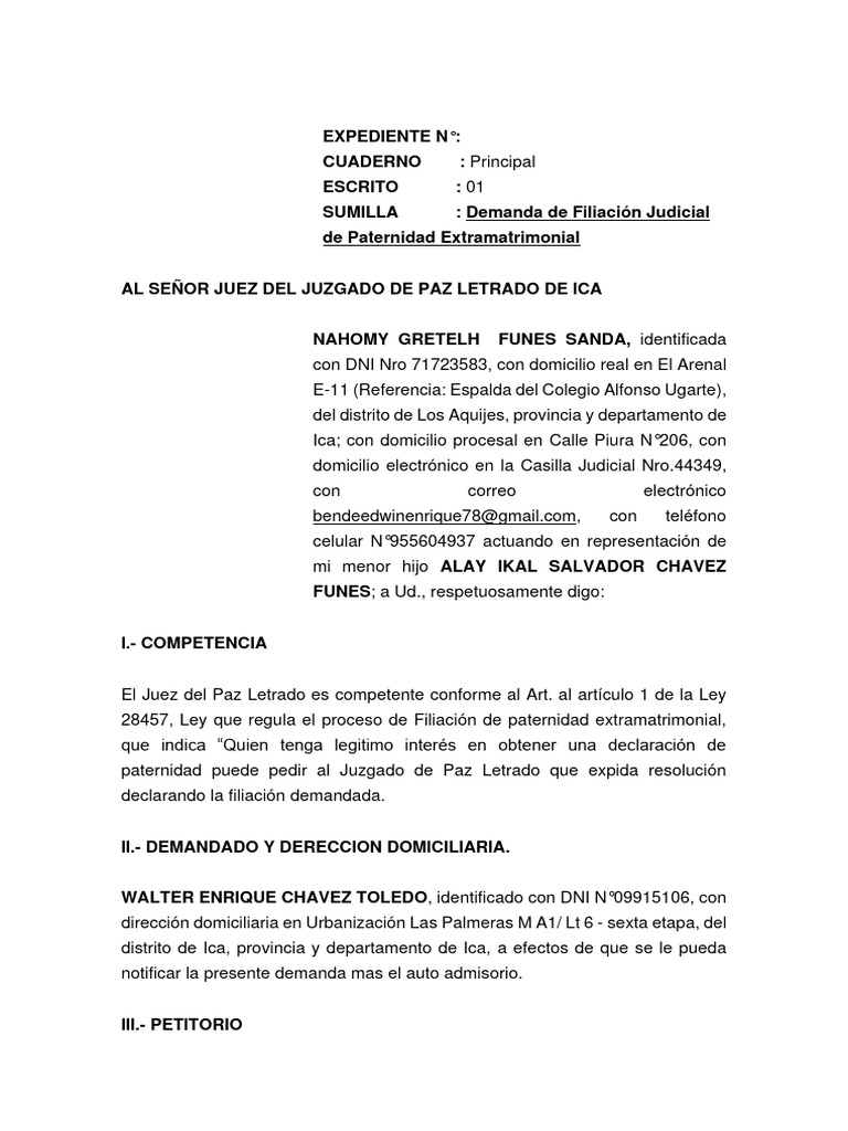 demanda-de-filiaci-n-descargar-gratis-pdf-demanda-judicial-ley