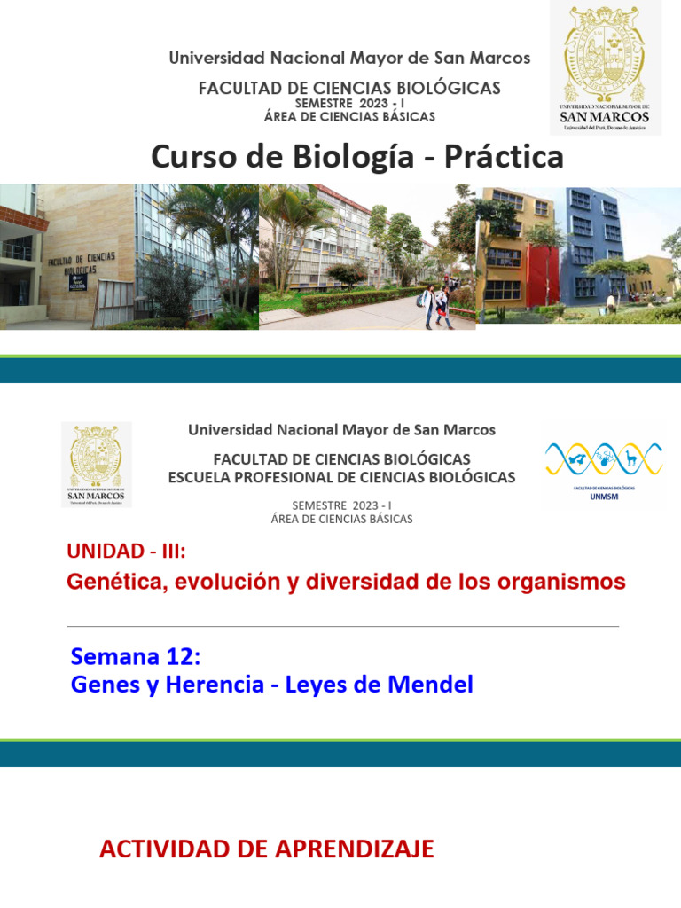 Lab Bio Clase 12 Genética | PDF | Prueba de ji cuadrado | Genética