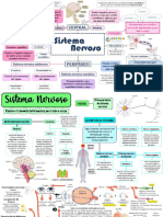 Sistema Nervoso