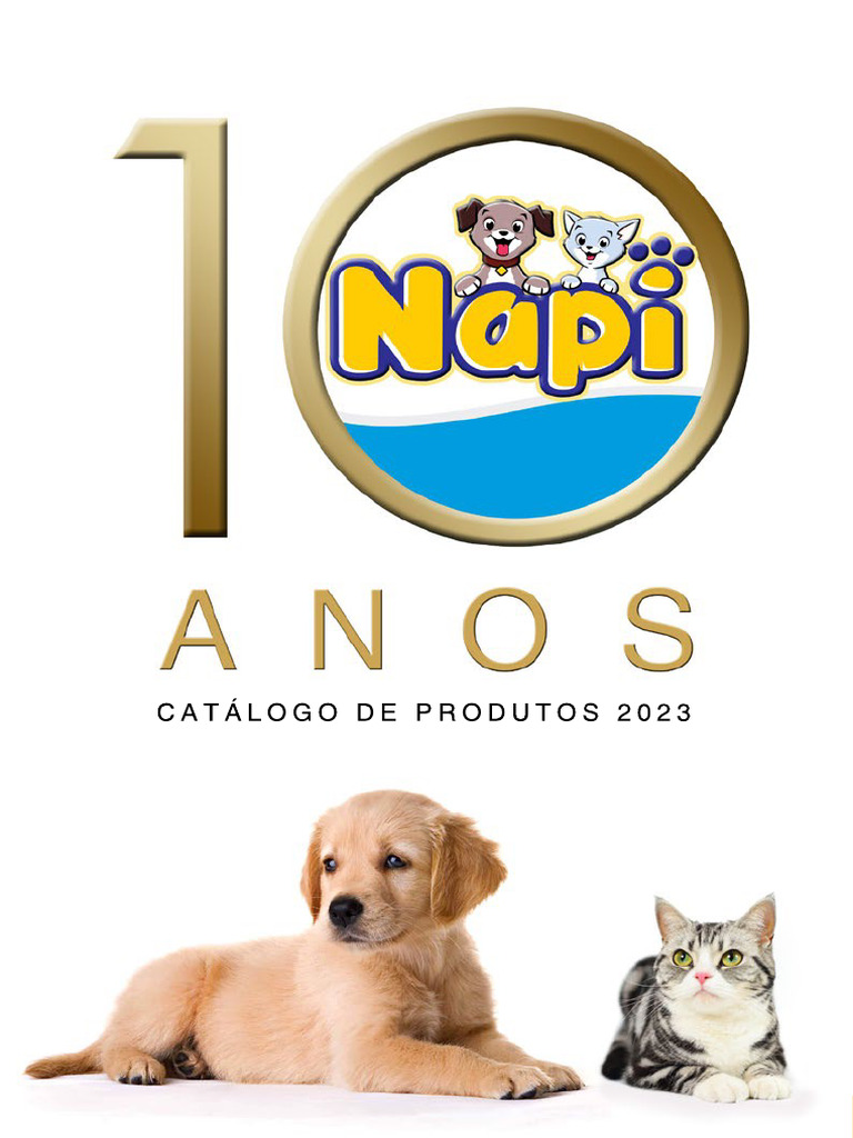 Catalogo Napi Correto | PDF