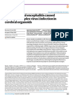 Modelling Viral Encephalitis Caused by Herpes Simplex Virus 1 Infection in Cerebral Organoids