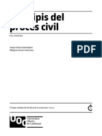 Mòdul 1. Principis Del Procés Civil