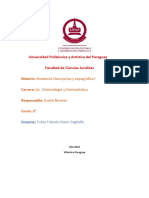 Anatomia D. Topográfica I.S2 PDF