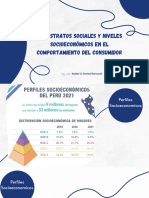 S3 Los Estratos Sociales y Niveles Socioeconomicos en El Comportamiento Del Consumidor