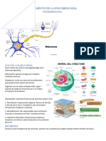 Neurobiologia