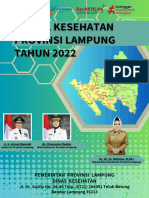 Profil Kesehatan Provinsi Lampung Tahun 2022