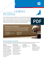 Noise Phobias in Dogs