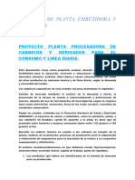 PLANTA PROCESADORA DE EMBUTIDOS Y CORTES ESPECIALES - Docx 2