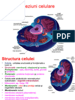 - Tema 3 Fiziopatologia celulei